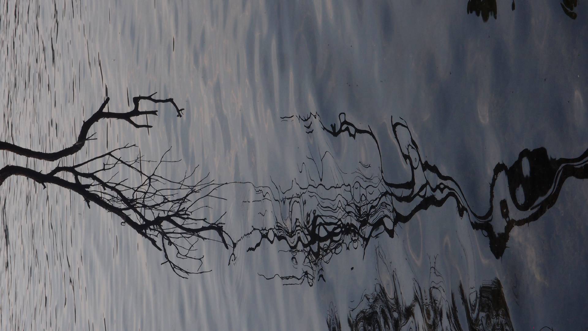 2021-06-17 Stechlinsee (Foto & Video)